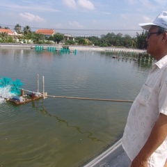 Mỹ công nhận chuẩn an toàn thực phẩm của cá tra Việt Nam